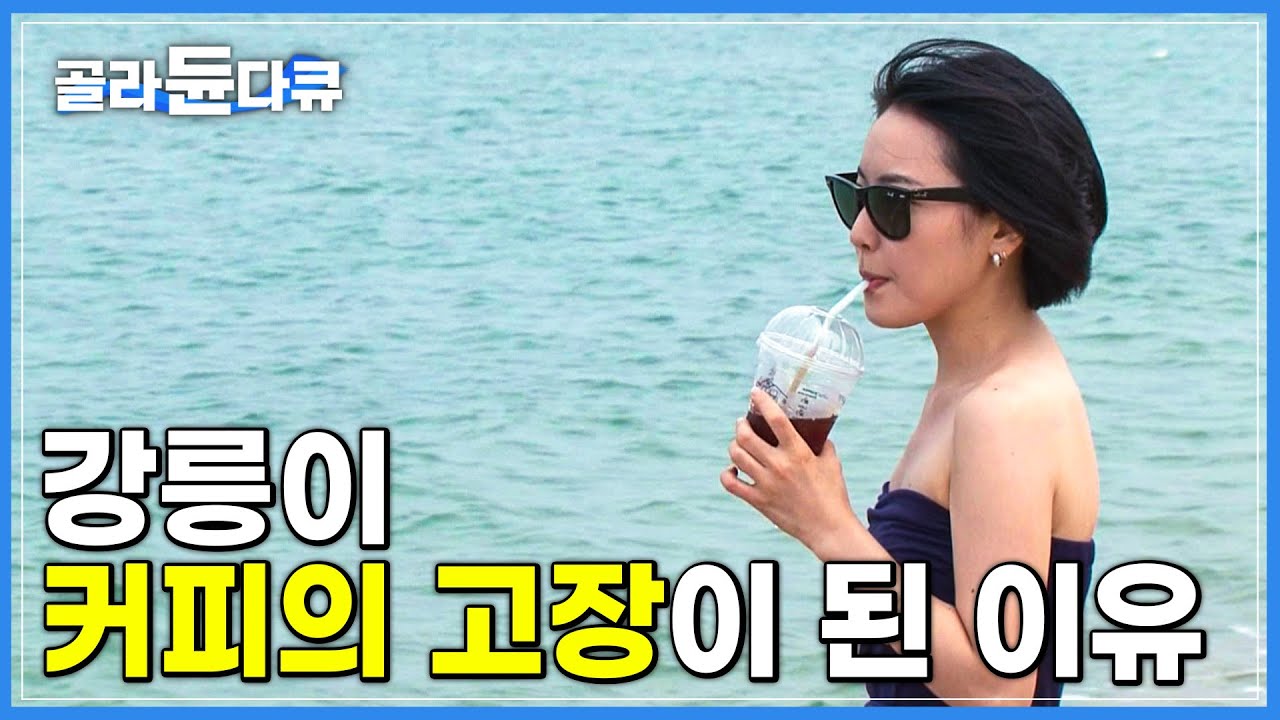 커피거리가 형성된 대한민국 대표 관광일번지 '강릉' | 커피의 고장 | 한국기행 | #골라듄다큐