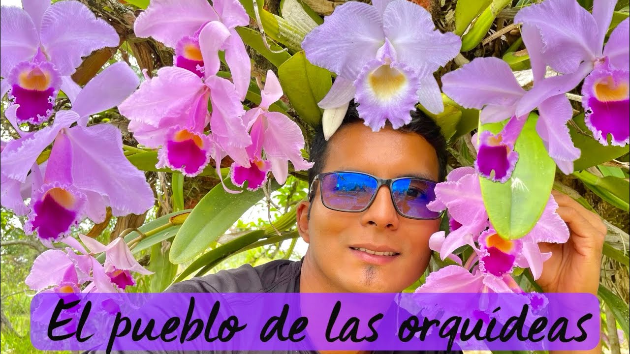 El PUEBLO de las ORQUIDEAS