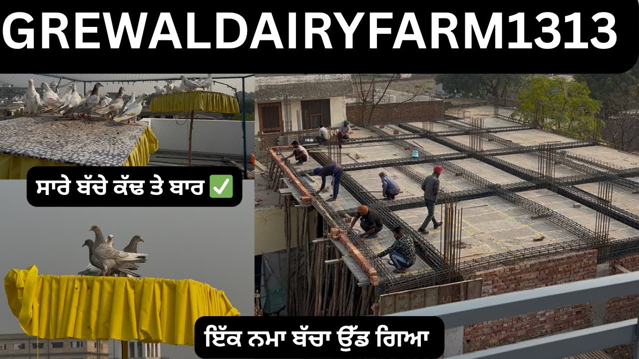 ਇੱਕ ਬੱਚਾ ਬਾਰ ਰਿਹ ਗਿਆ 🥲// ਫਾਰਮ ਦਾ ਕੰਮ ਲੈਂਟਰ ਤੱਕ ਆਗਿਆ ✅