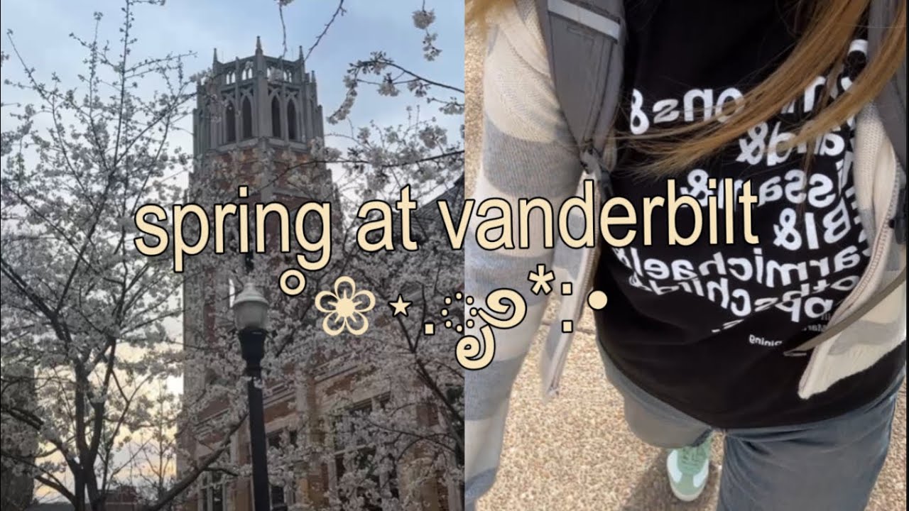 In March, I’ll be rested (vanderbilt vlog #9)