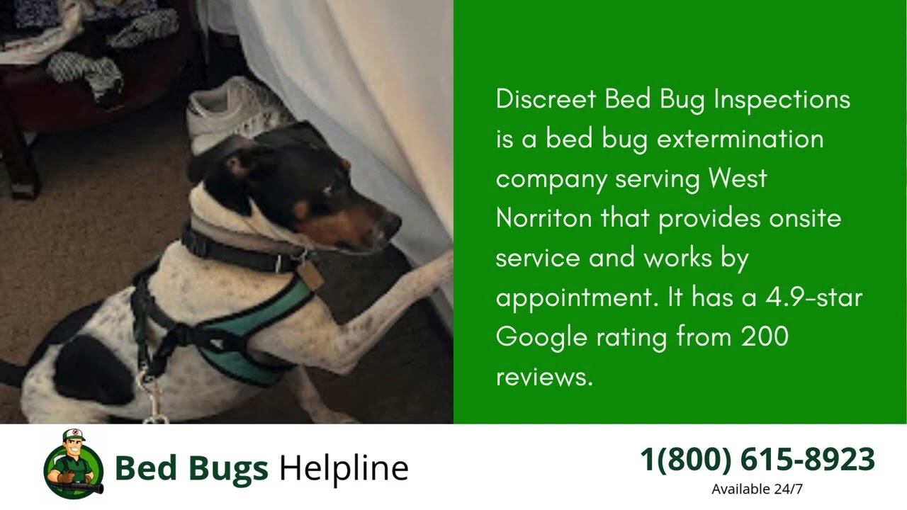 Top 3 Bed Bug Removal Companies in West Norriton