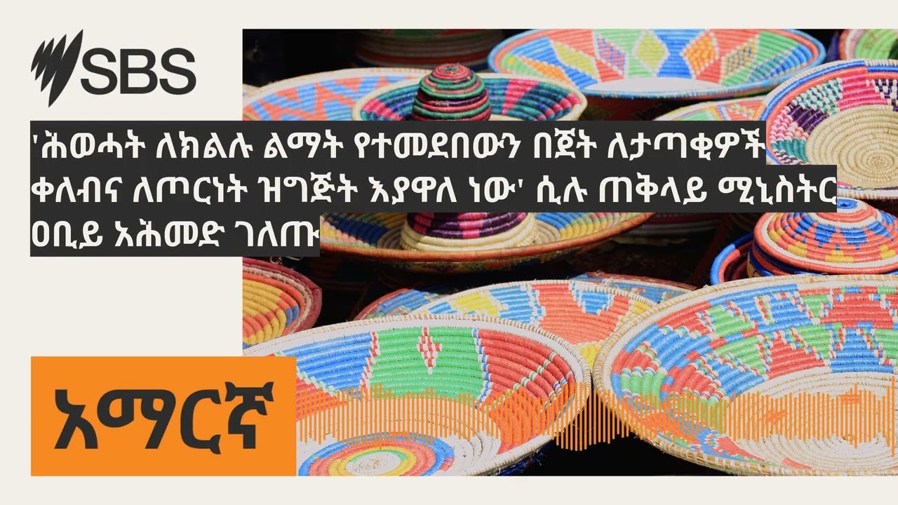 'ሕወሓት ለክልሉ ልማት የተመደበውን በጀት ለታጣቂዎች ቀለብና ለጦርነት ዝግጅት እያዋለ ነው' ሲሉ ጠቅላይ ሚኒስትር ዐቢይ አሕመድ ገለጡ | SBS...