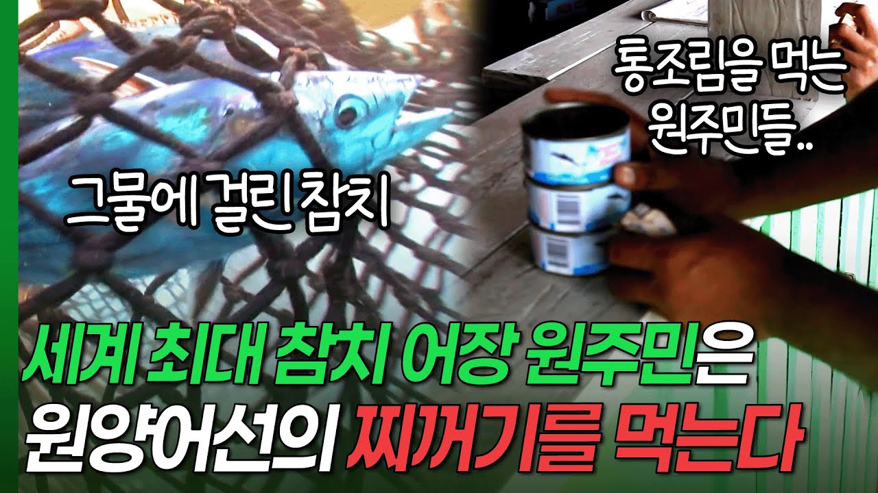 사라지는 참치! 세계 최대 참치 어장인 솔로몬 원주민들은 이제 원양어선의 찌꺼기를 먹는다.. [남태평양 그곳엔 참치가 없다]/ KBS 20130327 방송