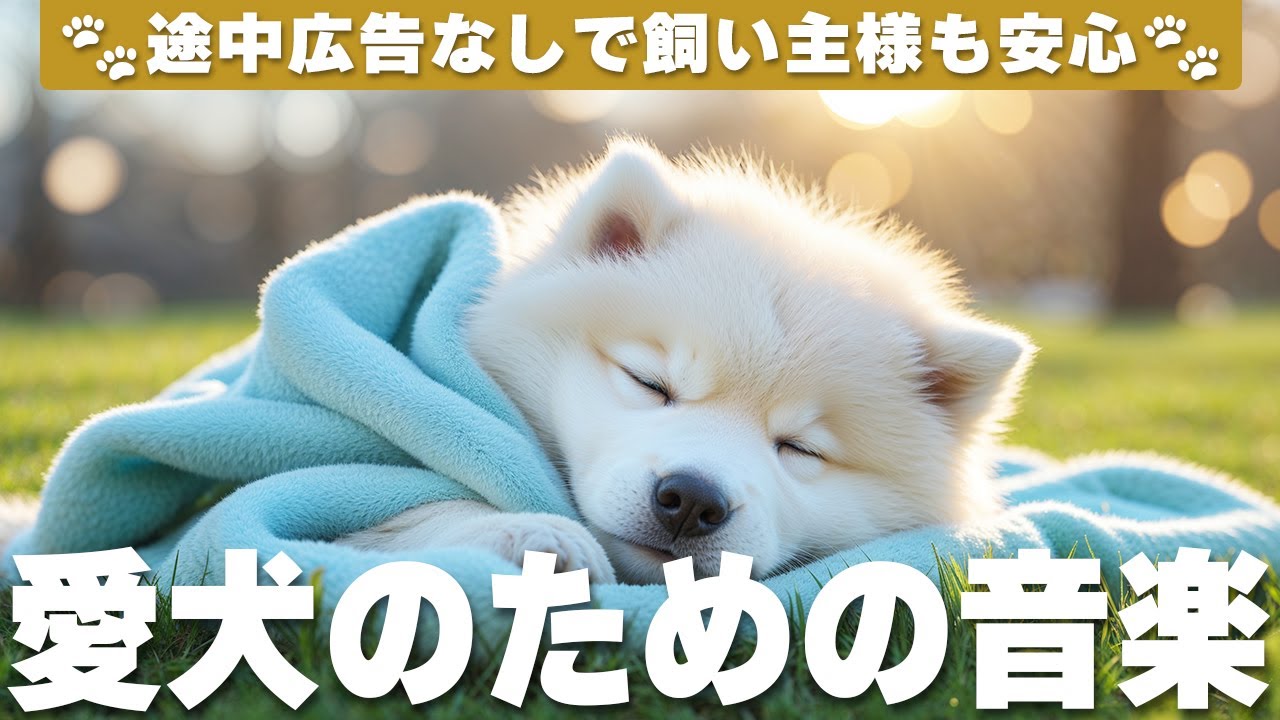 愛犬が落ち着く音楽 (12時間広告なし) 🐶 犬の癒しの音楽 | 愛犬の寝かしつけ / vol.768
