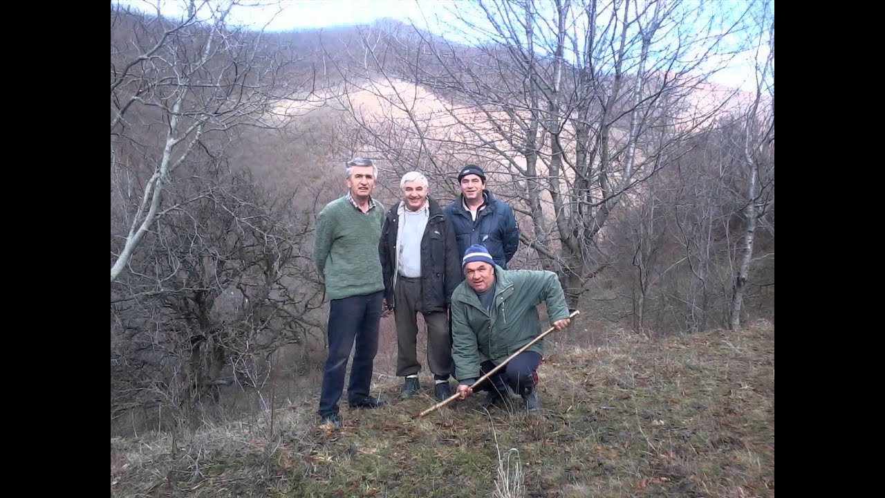 Radivoje Biševac Biške - Soko sa Rogozne