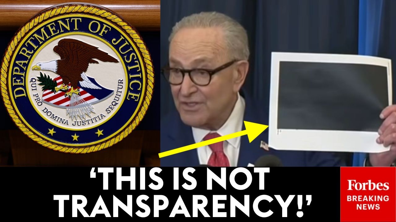 'This Is Their Version Of Releasing The Files': Schumer Trashes DOJ Over Redactions In Epstein Files