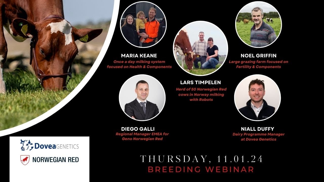 Dovea Genetics Norwegian Red Webinar