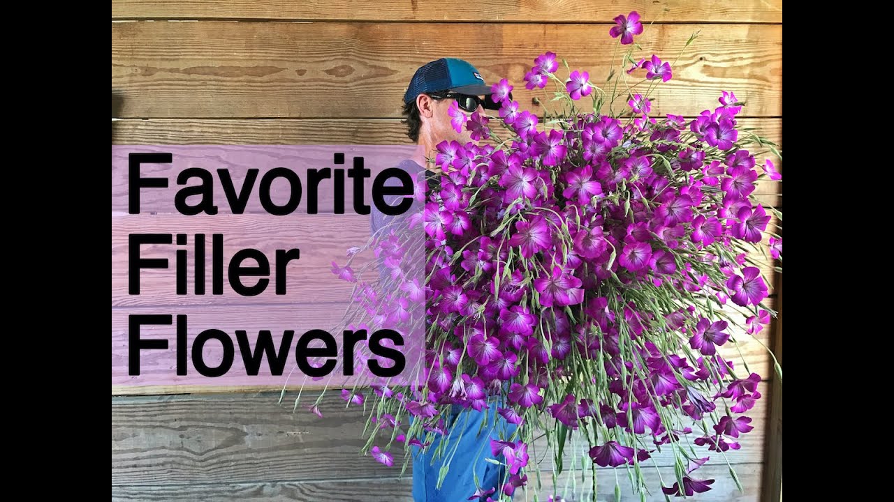 Favorite Filler Flowers For Bouquets | Fireside Chat | PepperHarrow