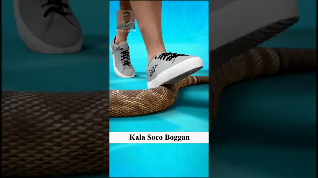 Maxaa dhacaya hadii mas ku qaniino ? 