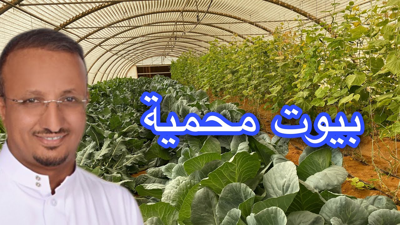 اذا كان الارتداد كبير هل يمكن ان يوضع فيه بيوت محمية تنتج خضار؟