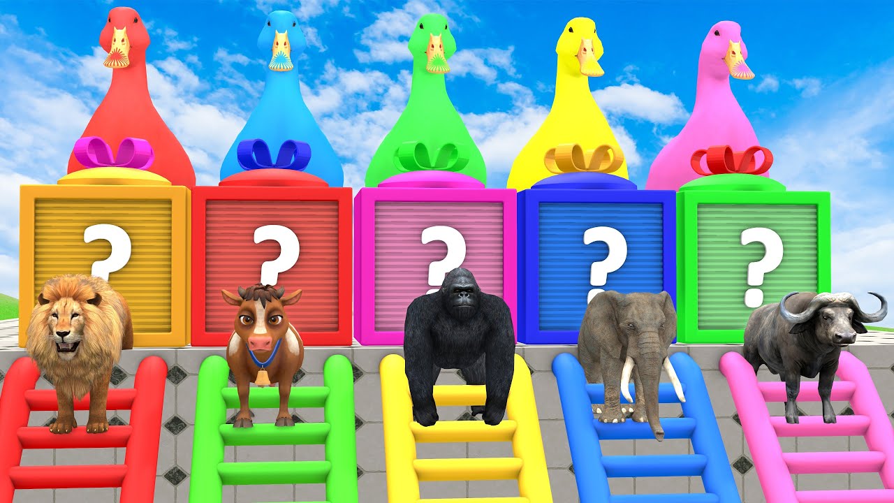 Long Slide Game with Elephant  Cow Gorilla Hippopotamus Tiger 3d Animal Game Funny 3d Animals
