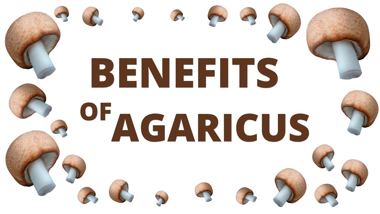 Benefits of Agaricus Mushroom- Brazilian Superhero