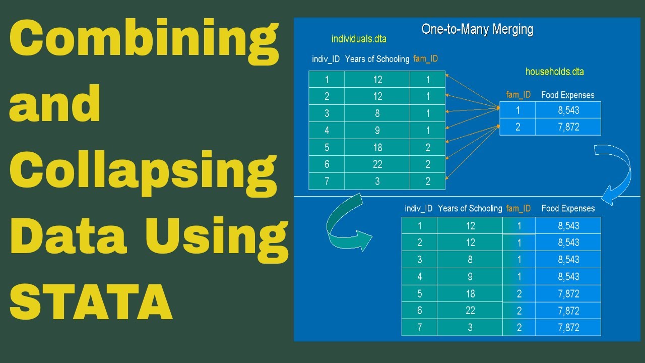 Combining and Collapsing Data Using STATA