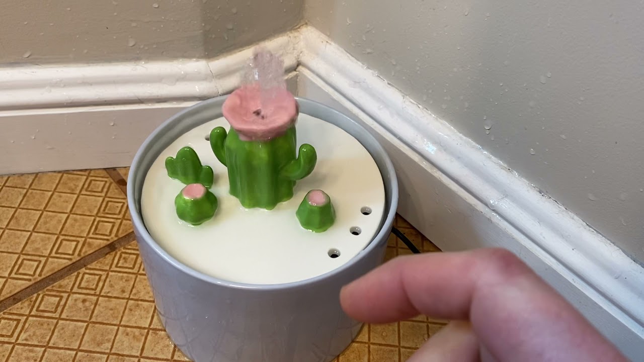 Happy & Polly Ceramic Cactus Cat Water Fountain works poorly, arrived cracked