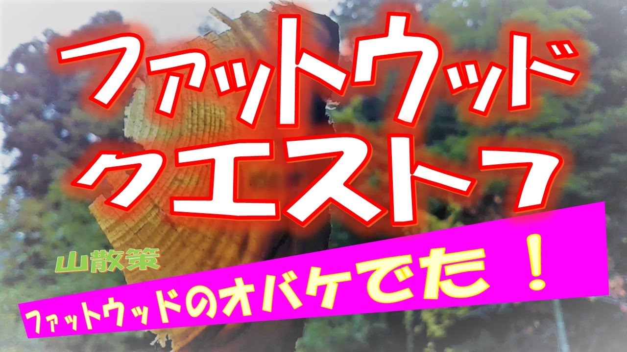 ファットウッドクエスト７【fatwoodのオバケでた】