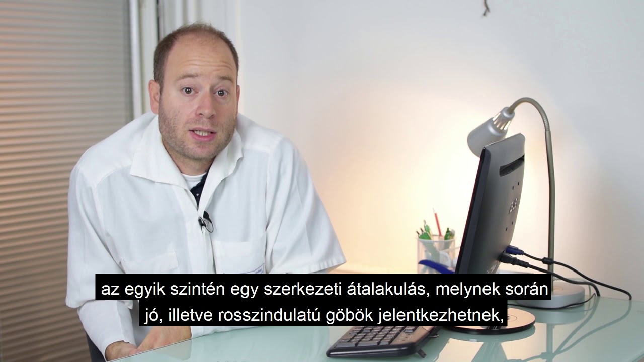 Dr. Reismann Péter - Endokrinológia