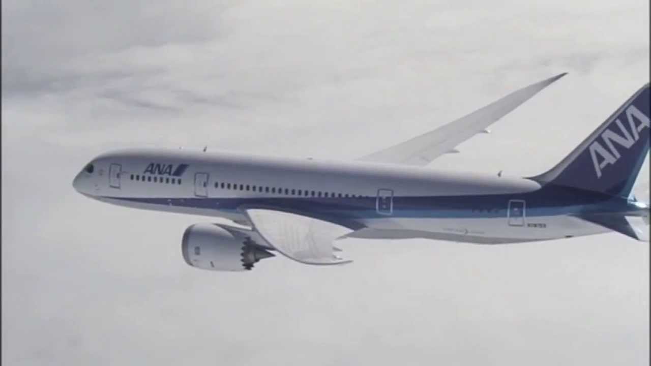 ANA B787 Another Sky