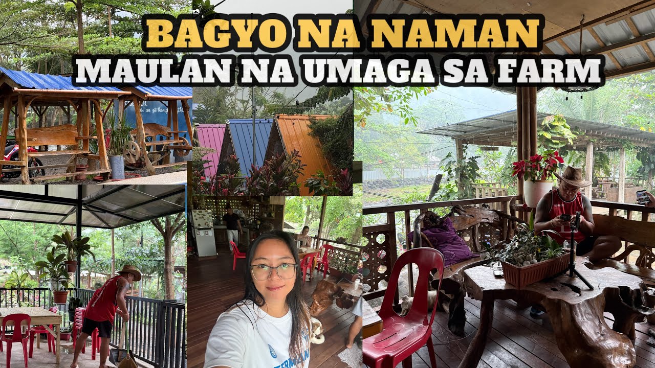 BAGYO NA NAMAN | MAULAN NA UMAGA SA FARM | @SimplyAmory 