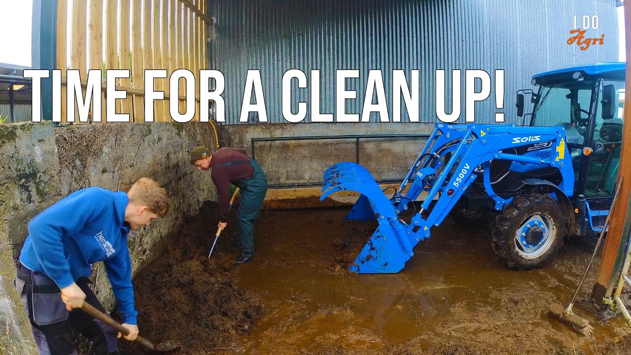 From Being Covered In MUCK To Looking Like The BIG BUCKS!