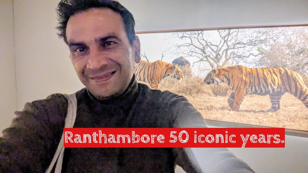 Ranthambore 50 iconic years