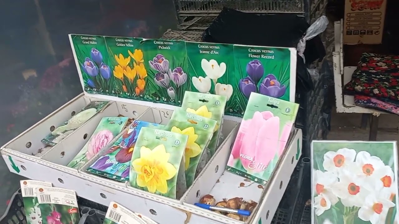 28 ФЕВРАЛЬ ТОШКЕНТ ЧОРСУ ГУЛЛАРИ🌴🌵🌼🌷🌴🌵🪻🌷🌴🌵🌼🌷🌴🌵🌷