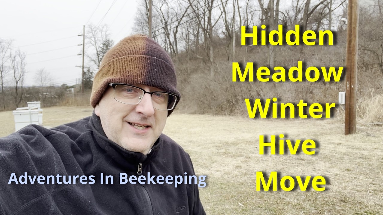 2026 Hidden Meadow Hive Move | Adventures In Beekeeping