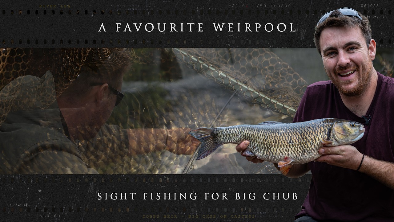 My Favourite Weirpool - Sight Fishing for Big Chub