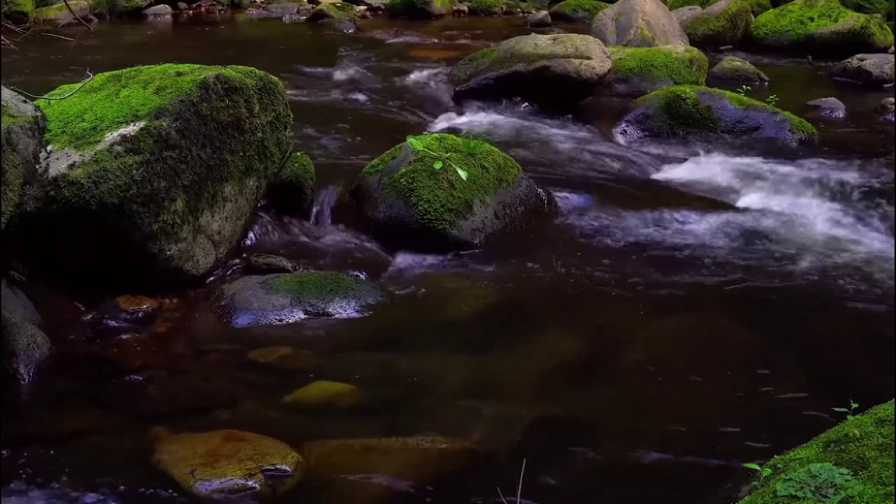 Gentle Stream Relaxing Stream Sounds use for Relaxation, Sleep, insomnia