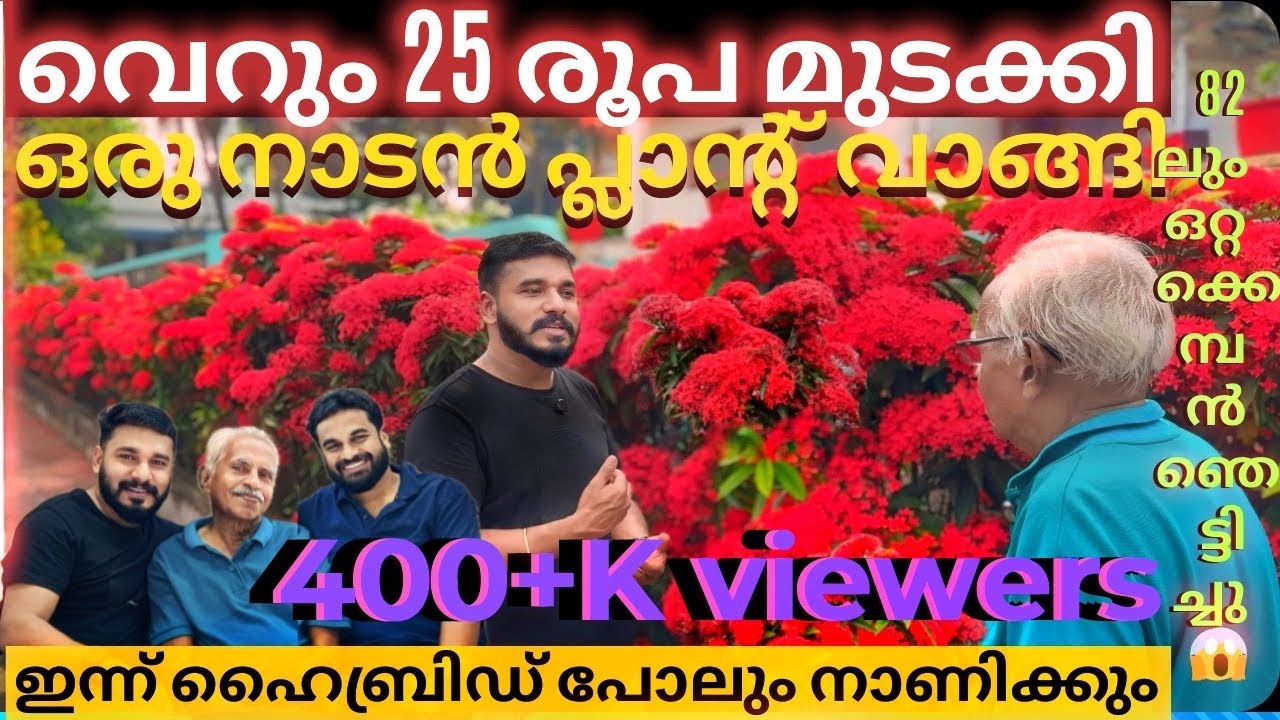വിലകുറഞ്ഞ നാടൻ ചെടി കൊണ്ട് ഹൈബ്രിഡ്നെ പോലും തോൽപ്പിക്കുന്ന വിപ്ലവം തീർത്ത ഈ ഒറ്റക്കൊമ്പനായ 82 കാരൻ