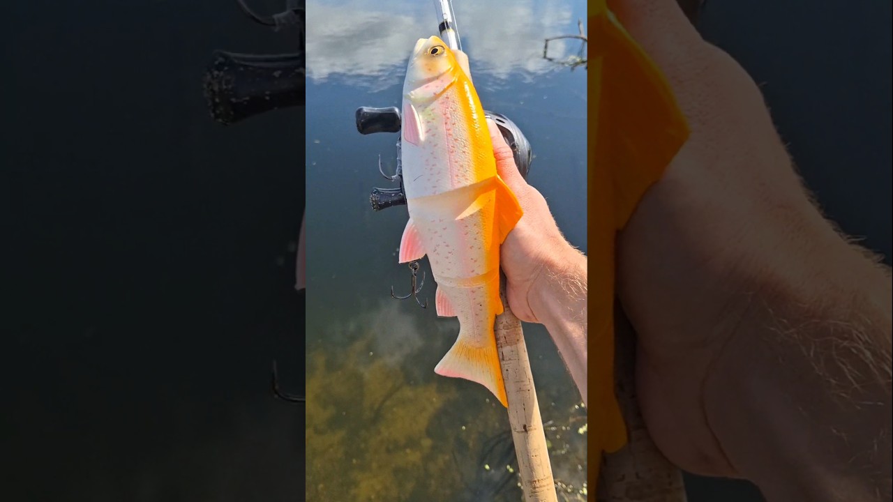 Savage Gear Line Thru Trout 30 cm 🎣🐊 