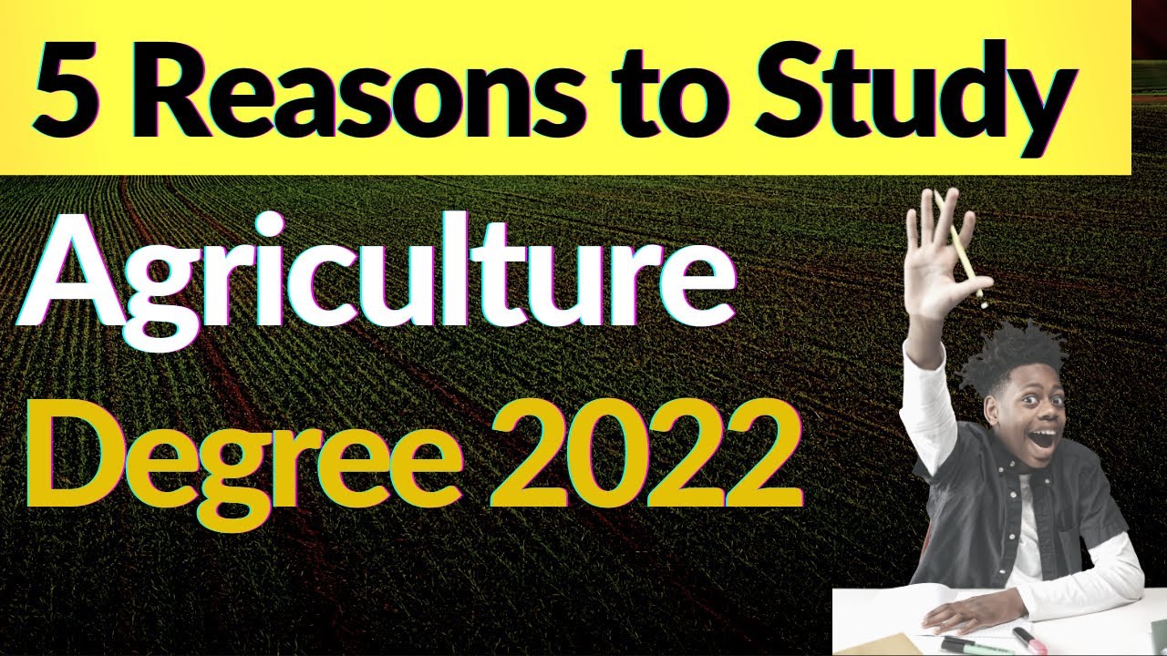 Agriculture Study: 5 Reasons to Study Agriculture Degree in 2022