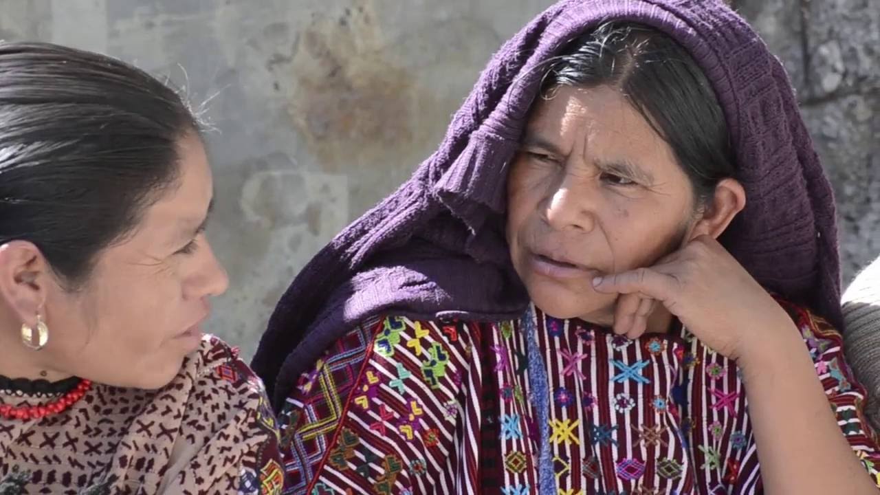 Programa Mundial de Alimentos