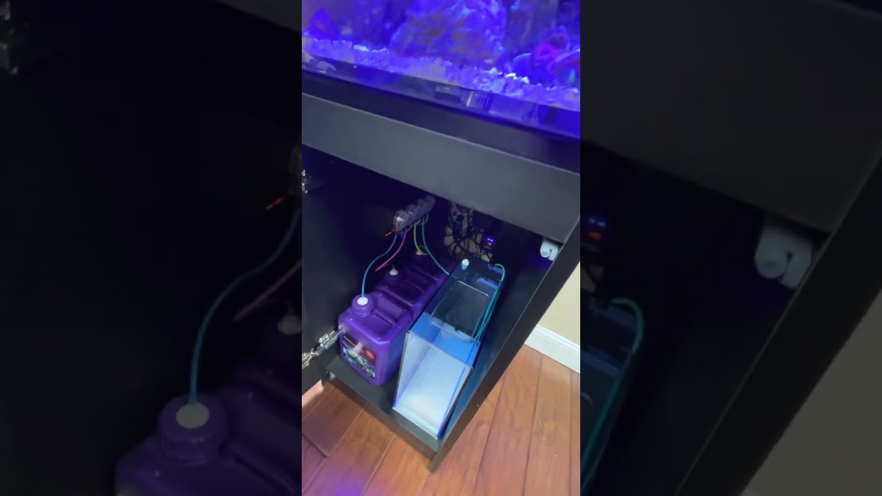 Red Sea Nano Peninsula Salt Water Setup SPS Corals