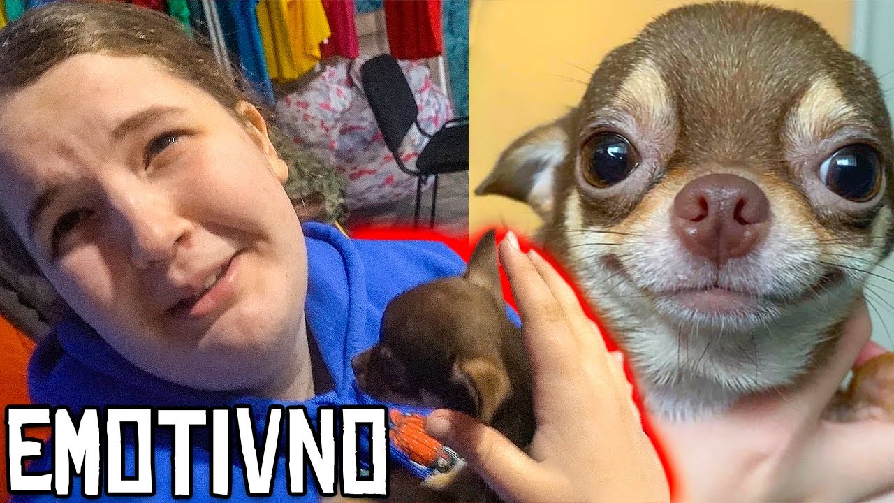 IZNENADIO SAM SESTRU SA MINIJATURNIM PSOM!