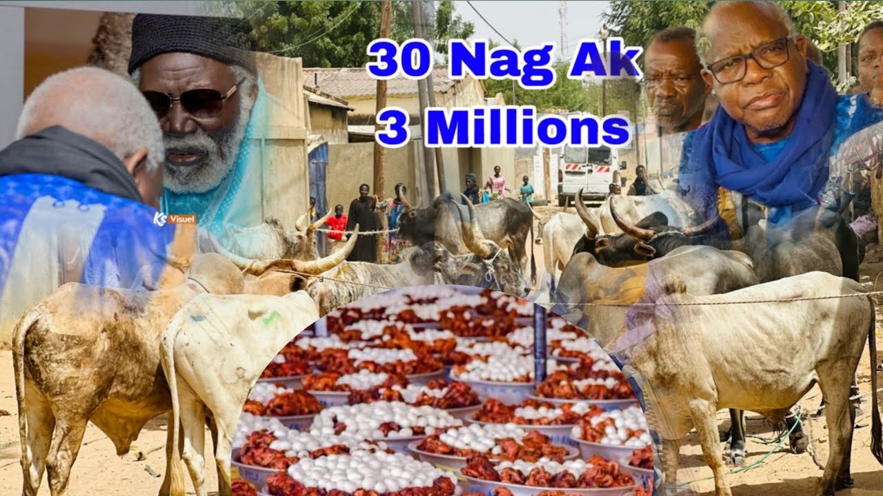 Jébbalé Adiya Serigne Fallou Fall Moudou Aminata Ci Khalif Général de Baye fall S Amdy Khady fall