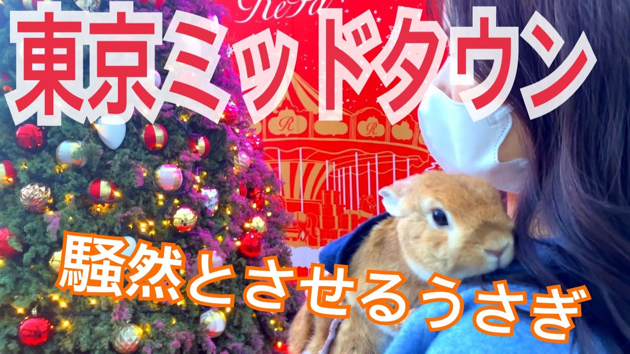 東京ミッドタウンが別世界…🎄✨うさぎ×紅葉×ReFaイベント🐰