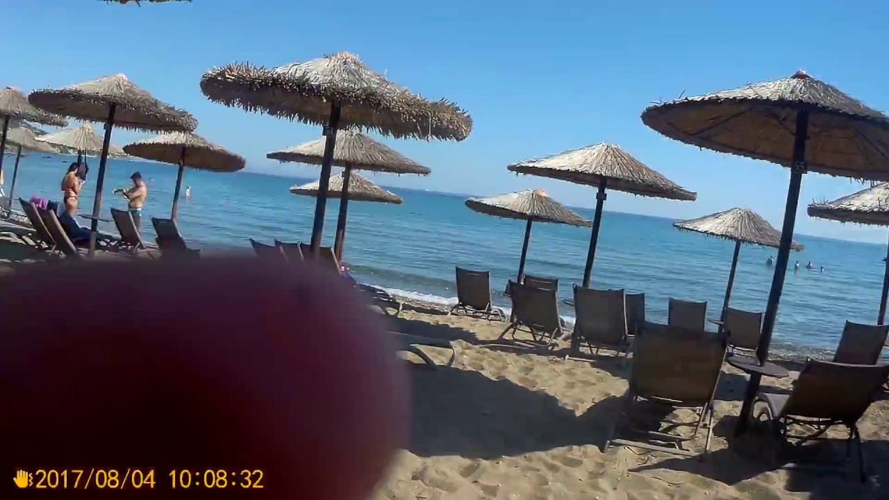 porto zorro
