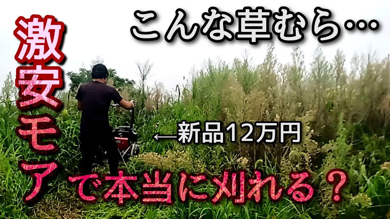 【自走式草刈機】高コスパモアの刈りっぷり。