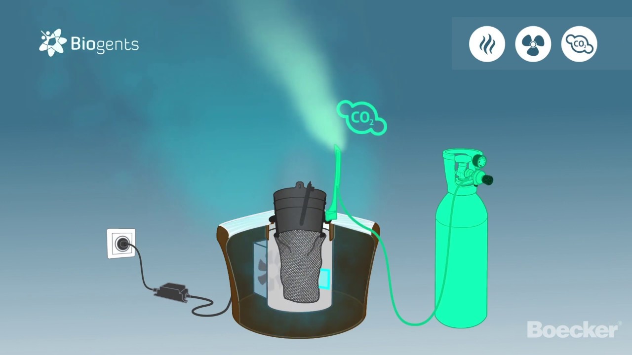 Biogents CO2 Mosquito Trap, BG Mosquitaire, available at Boecker®