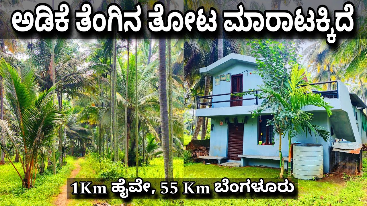 3 Acre Developed Farmland Sale in Channapatna, Bengaluru South, Charan 7338474634