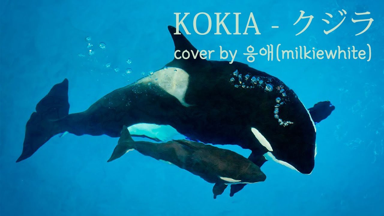 KOKIA - ﻿クジラ(Whale; Kujira)～ママの大事さんいらっしゃい～[cover]
