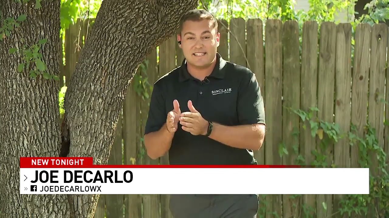 Area Trees Facing Multiple Dangers This Summer