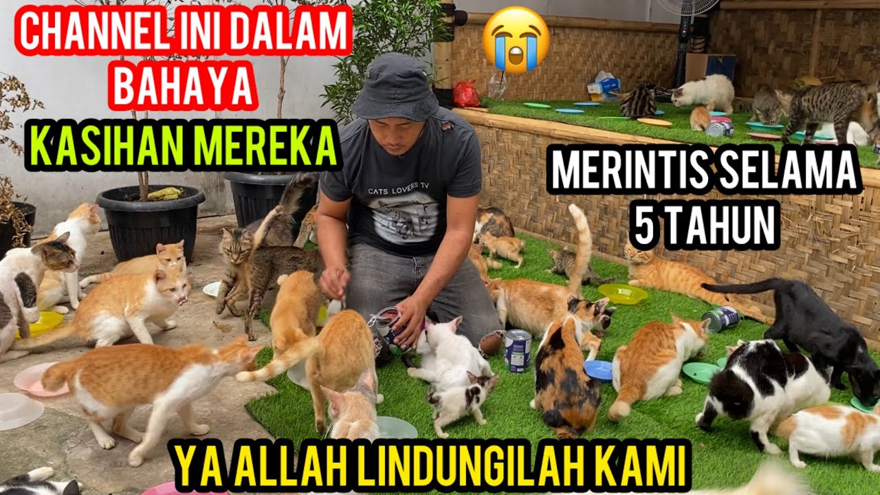 Astagfirullah YouTube Kami Sedang Dalam bahayaa Selamatkanlah Dan Lindungila Kami..‼️