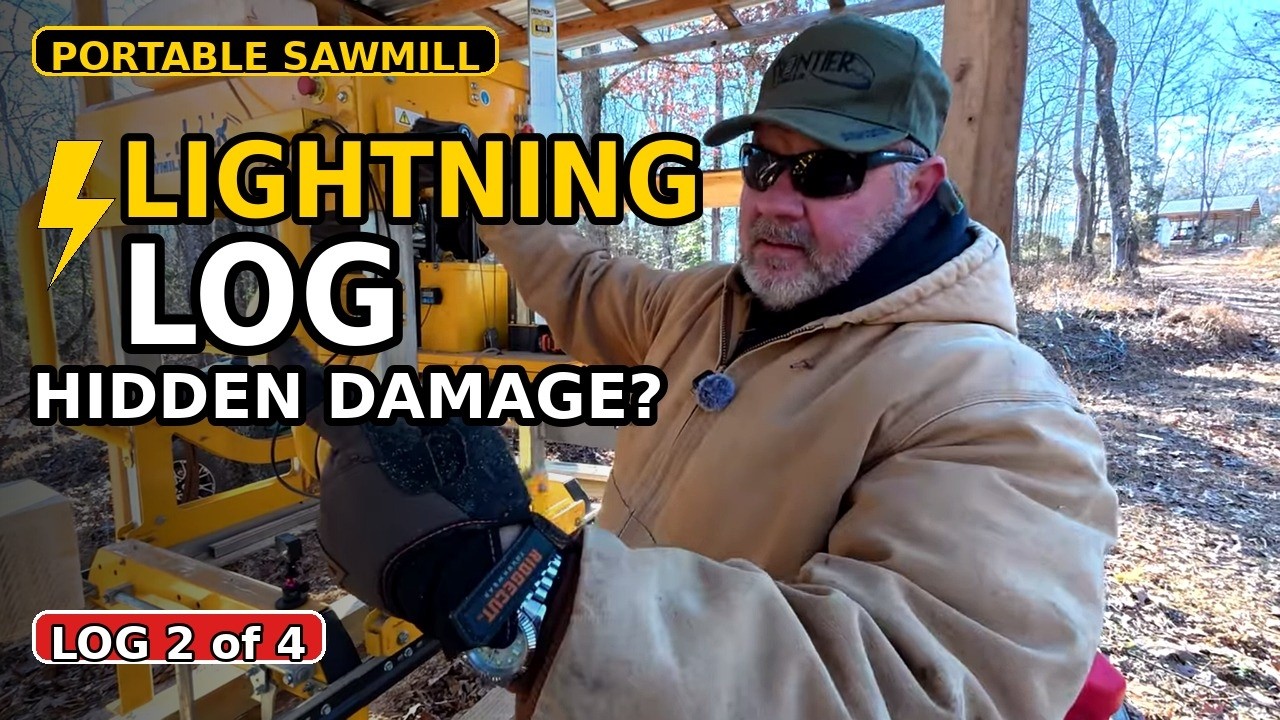 Lightning‑Struck Log #2… Did It Create Unique Figure Inside? (Frontier OS35)