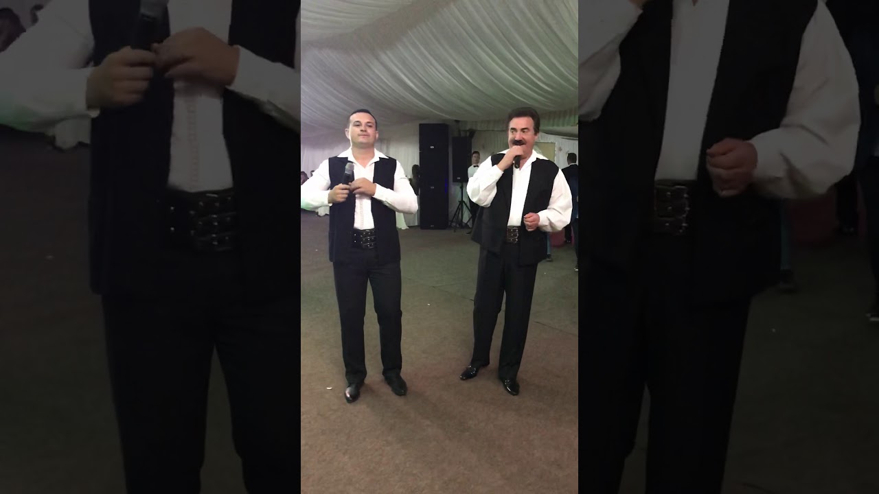 Petrica M&acirc;tu Stoian și Dumitru Vasilescu colaj s&acirc;rbe gorjenești (cover)