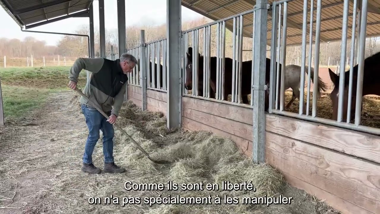 Élevage de la Violle : moderniser son élevage grâce au soutien de la Région Grand Est