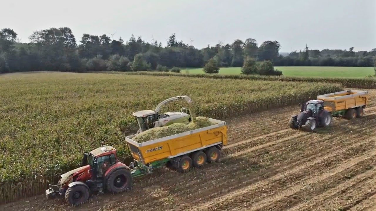 ENSILAGE 2023 | Claas Jaguar 950 - ETA Pacaux