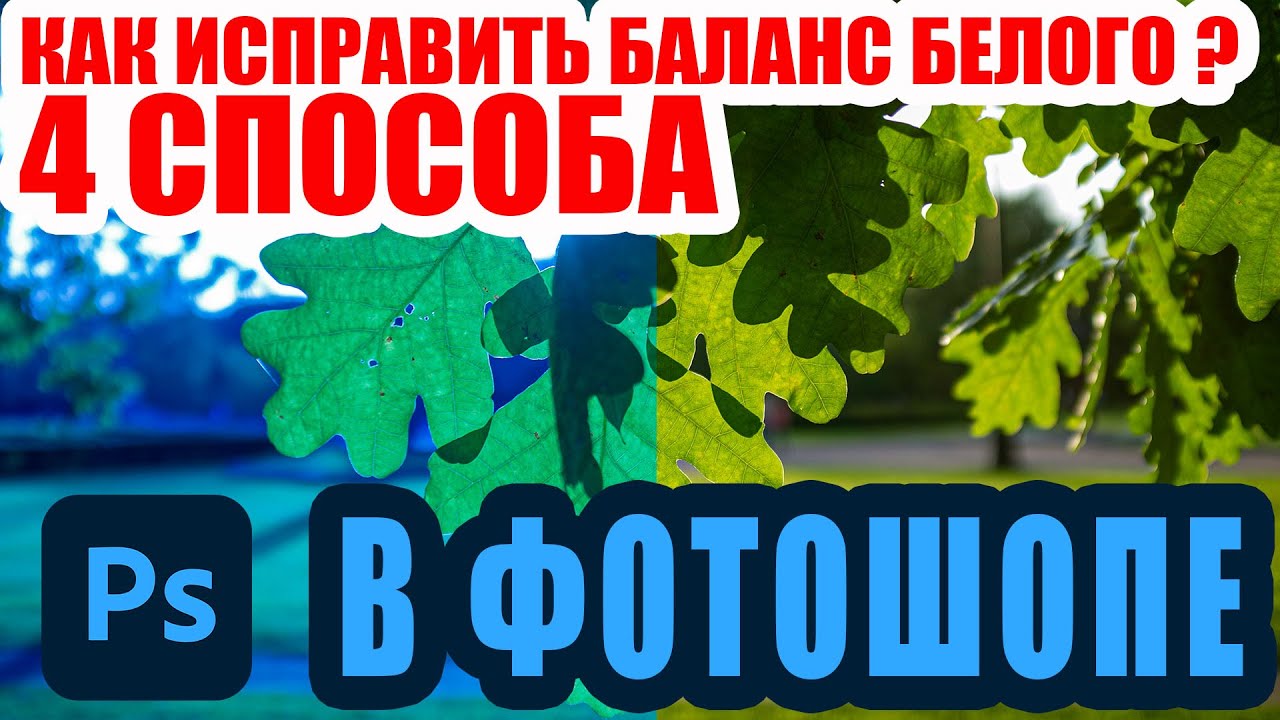 Как исправить баланс белого в Фотошопе? 4 способа