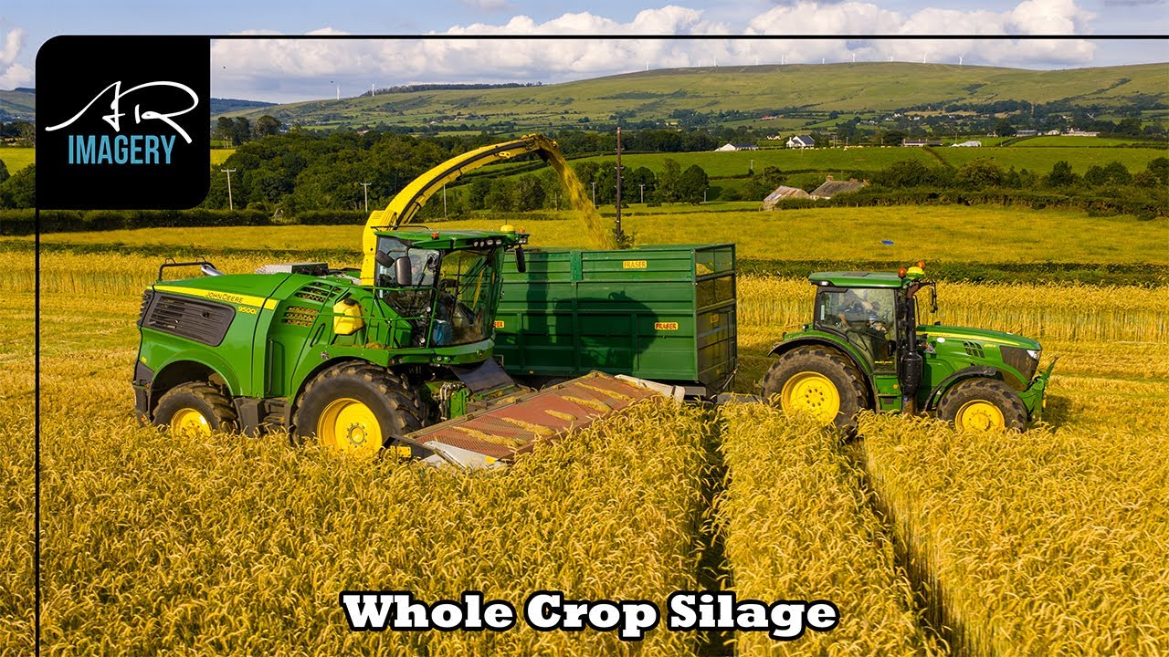 John Deere 9500i Wholecrop Rye Harvest — Lyons Contracts in Action
