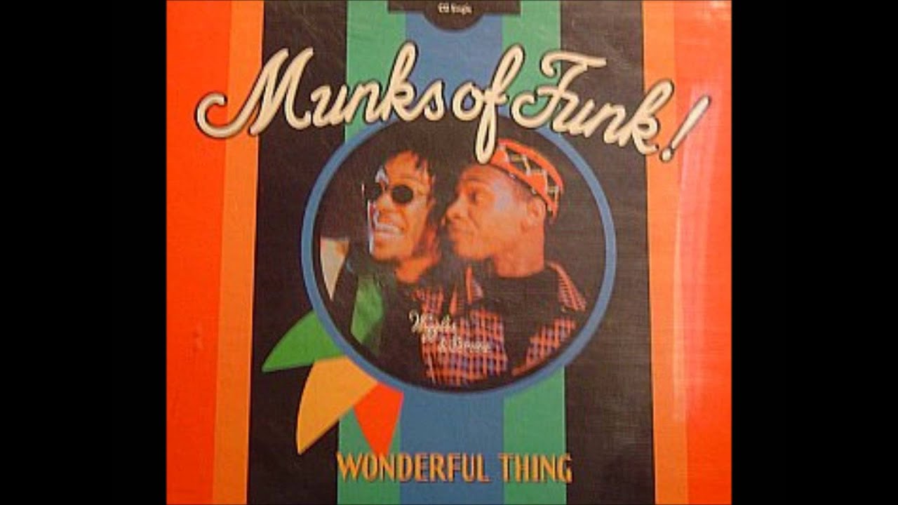 munks of funk ( wonderfuf thing ) cj's doin lt in the the park mix  1991
